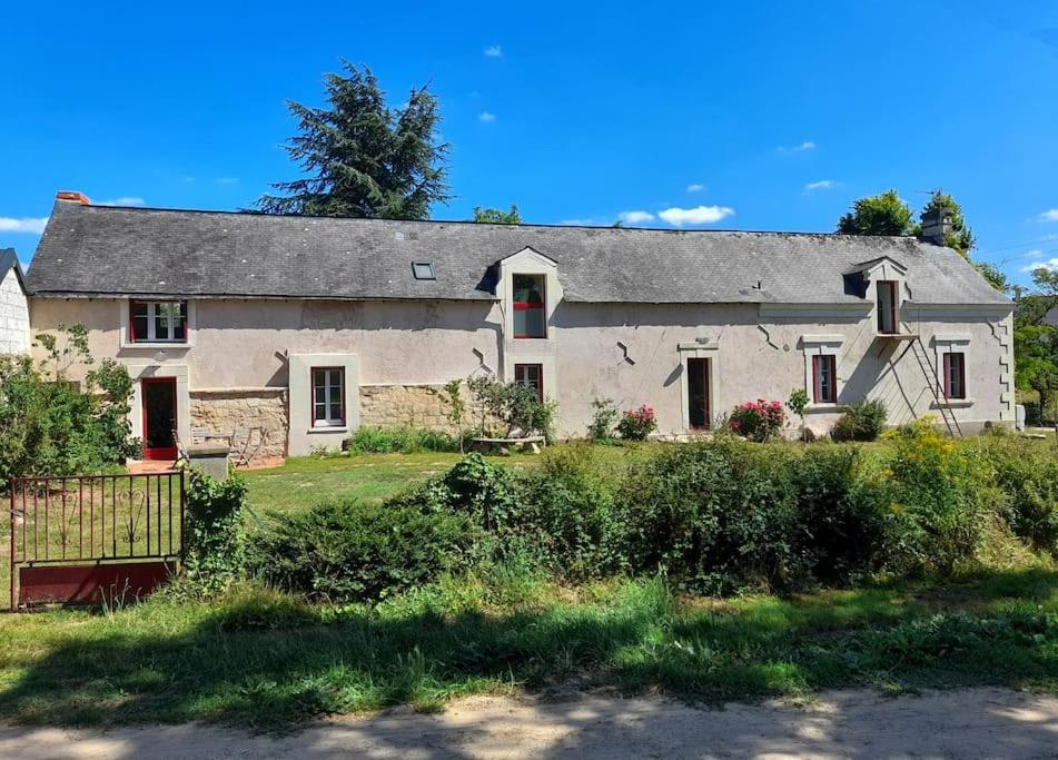 Gite En Bord De Loire Blaison-Saint-Sulpice Kültér fotó