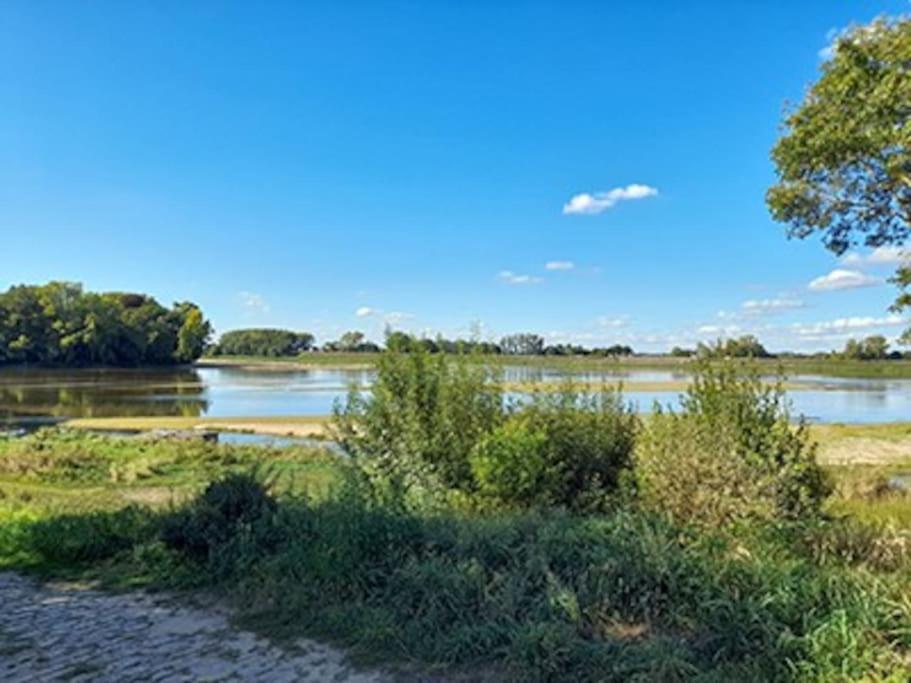 Gite En Bord De Loire Blaison-Saint-Sulpice Kültér fotó