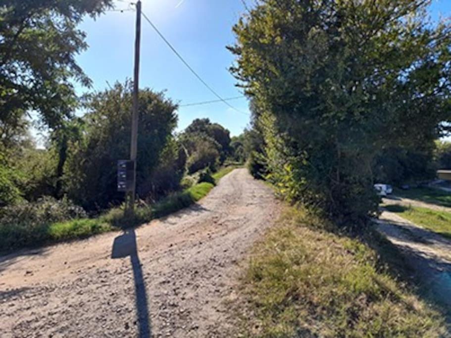 Gite En Bord De Loire Blaison-Saint-Sulpice Kültér fotó