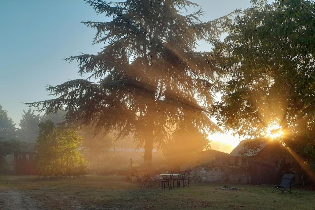 Gite En Bord De Loire Blaison-Saint-Sulpice Kültér fotó