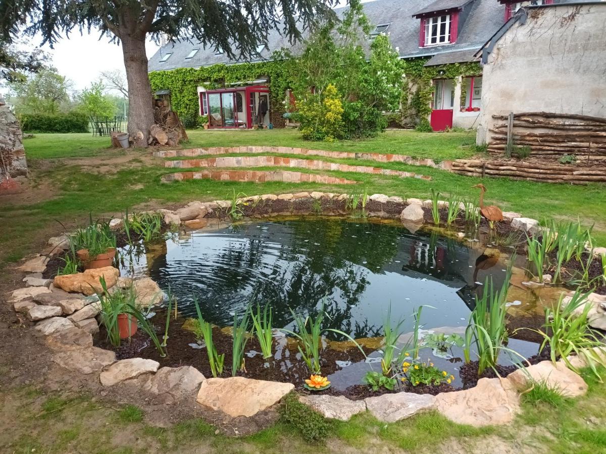 Gite En Bord De Loire Blaison-Saint-Sulpice Kültér fotó